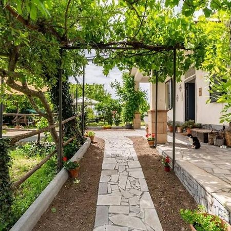 Etna, Salvia E Rosmarino Villa Maletto Exterior foto
