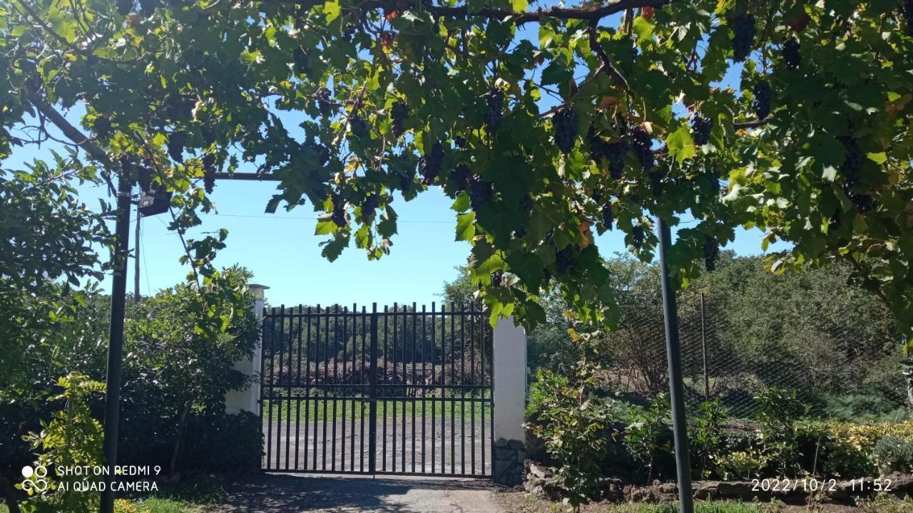 Etna, Salvia E Rosmarino Villa Maletto Exterior foto