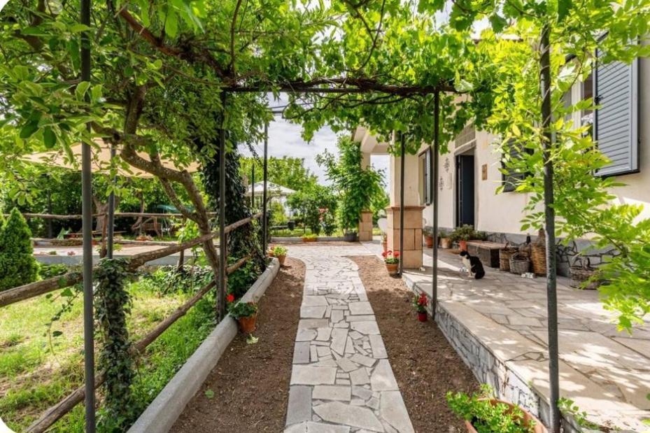 Etna, Salvia E Rosmarino Villa Maletto Exterior foto